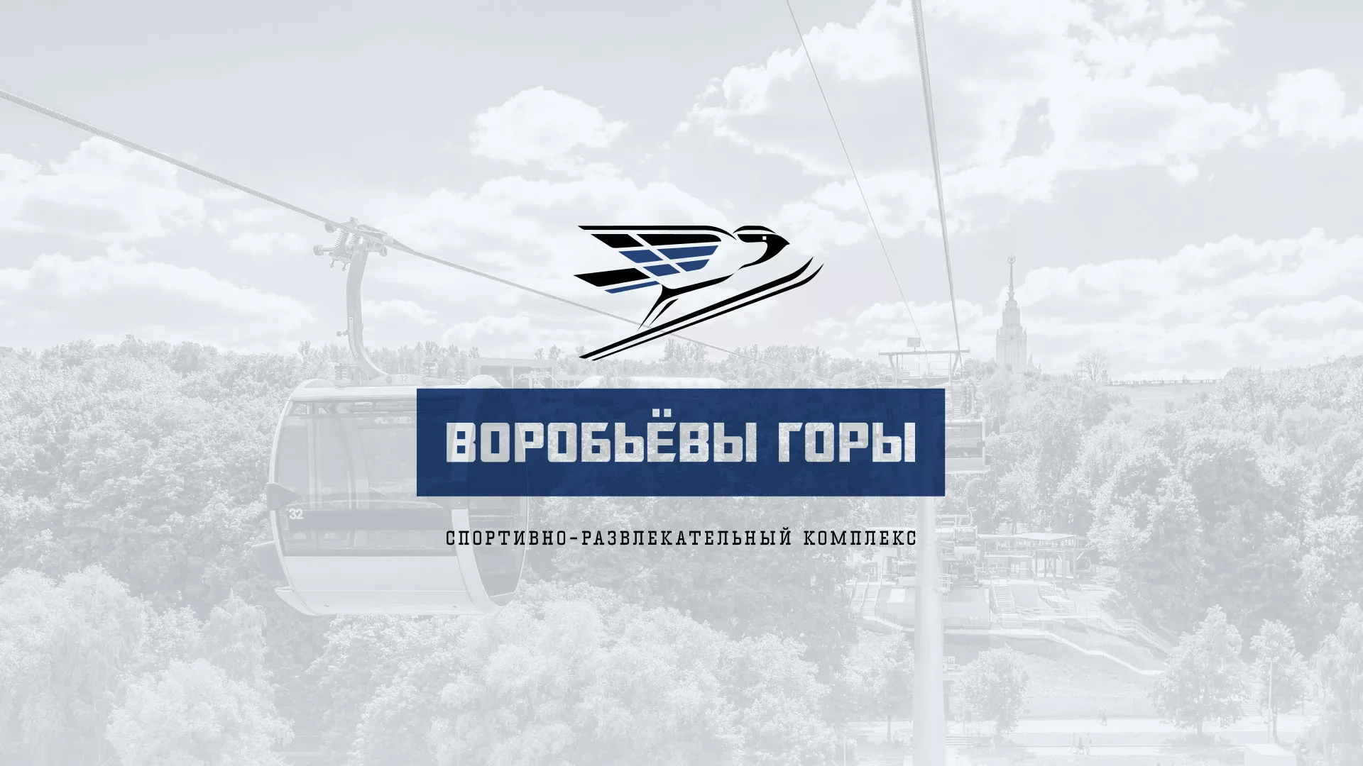 Разработка сайта в Фролово для спортивно-развлекательного комплекса «Воробьёвы горы»