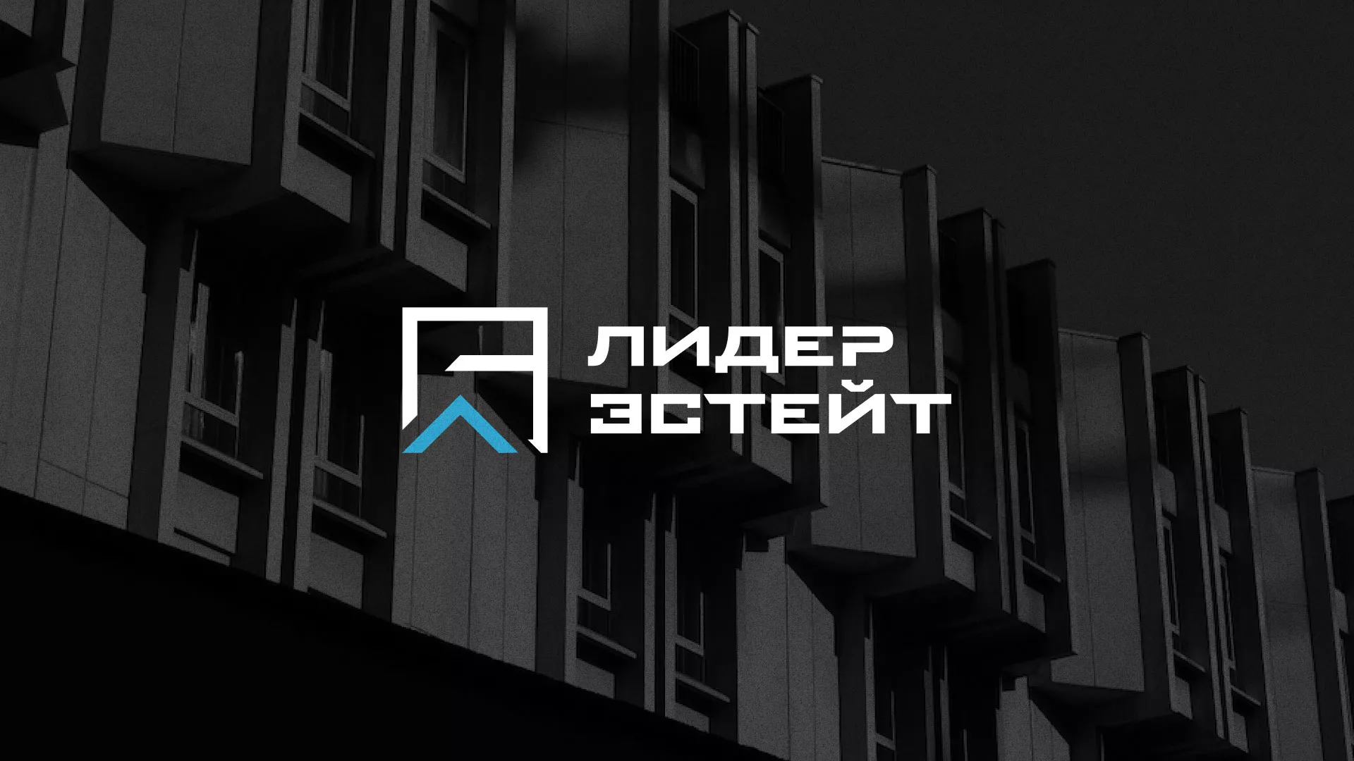Разработка логотипа агентства недвижимости «Лидер Эстейт» в Фролово